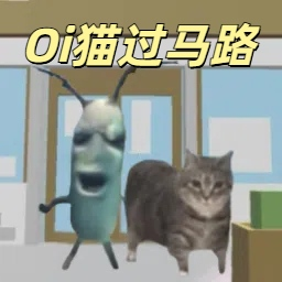 小猫爱冒险
