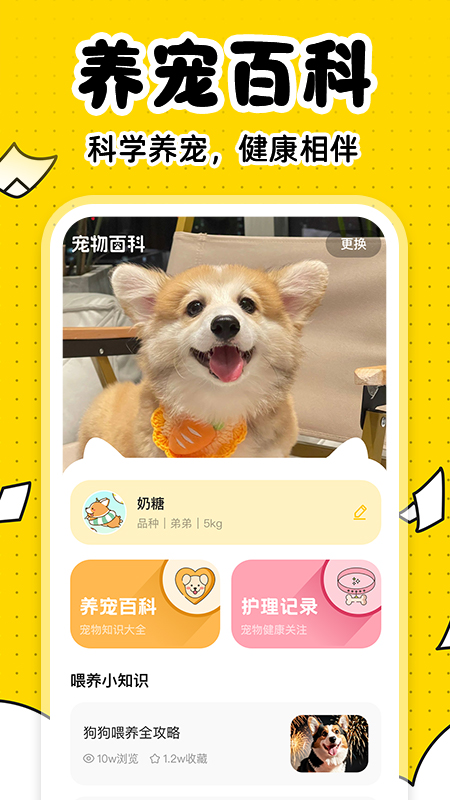图4