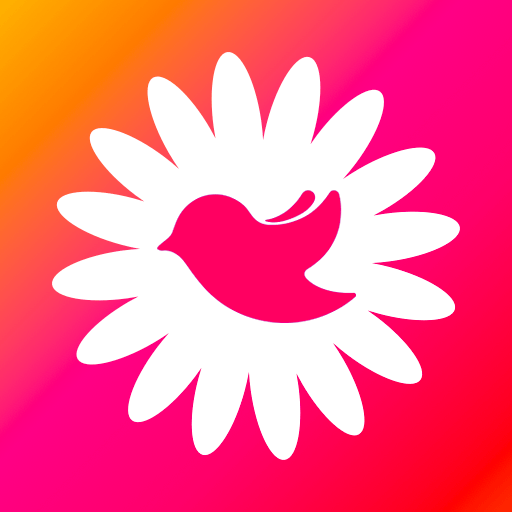 白鸟小工菊app