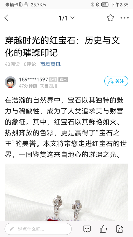 图1