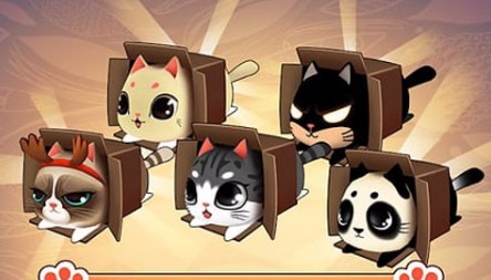 盒子里的猫(Kitty in the Box)