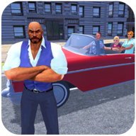 Virtual Bodyguard House Family Security Officer