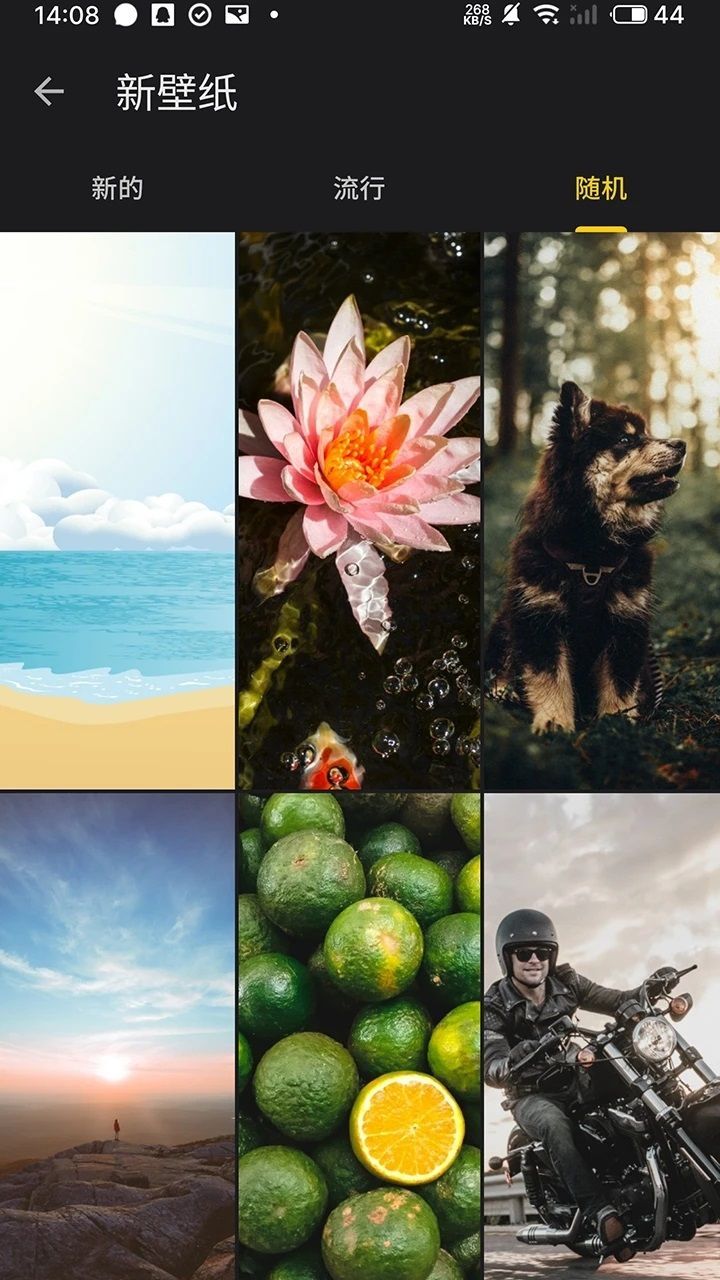 图3