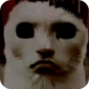 猫猫惊魂1.3