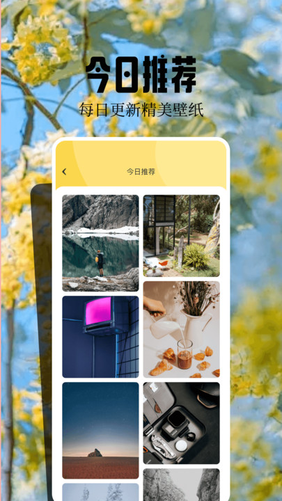 桌面壁纸精灵软件