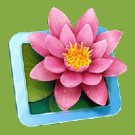 花朵消消乐游戏