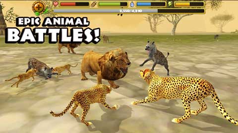 猎豹模拟器(Cheetah Sim)