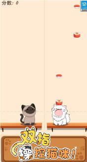 猫咪二重奏游戏
