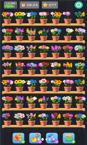 Flower Jam 3D游戏