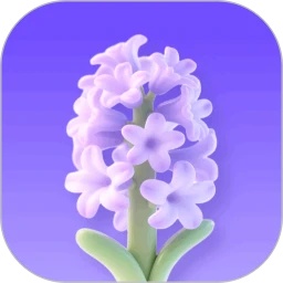 风信子花app