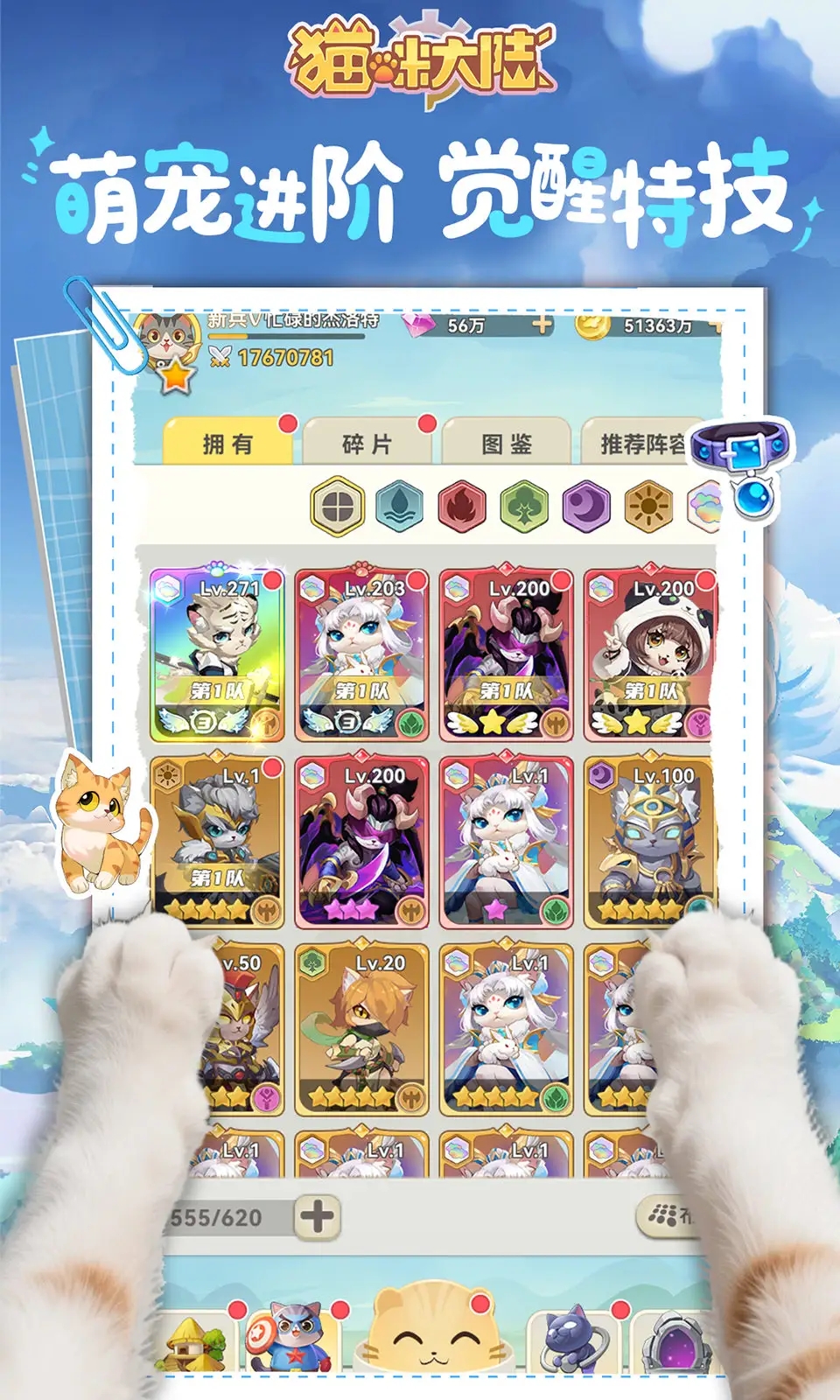 猫咪大陆手游