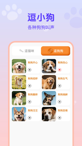 猫狗宠物交流助手app