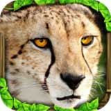 猎豹模拟器(Cheetah Sim)