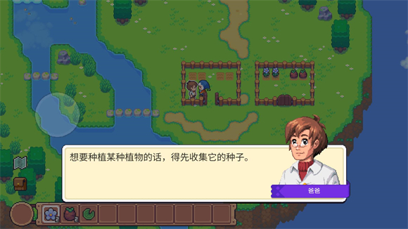 月光石岛图1