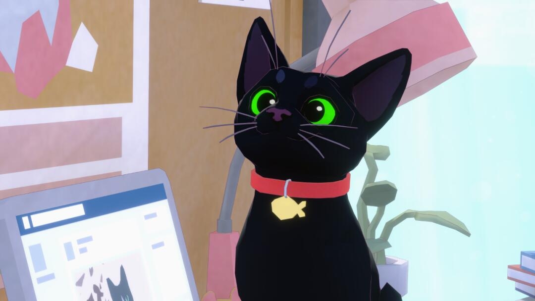 小猫咪大城市免费版