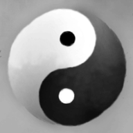 太极阴阳游戏