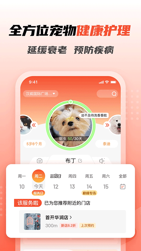 图4