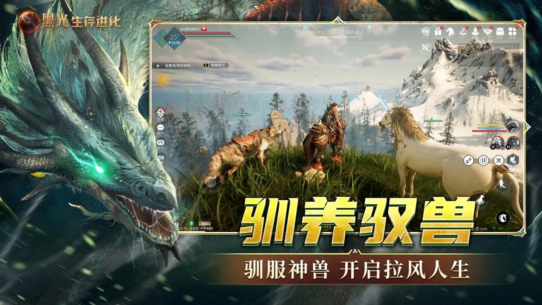 图1