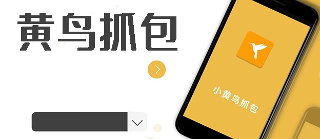 黄鸟抓包软件大全