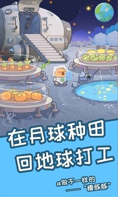 慢豚豚的生活游戏破解版