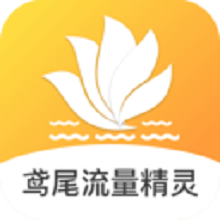 鸢尾流量精灵app