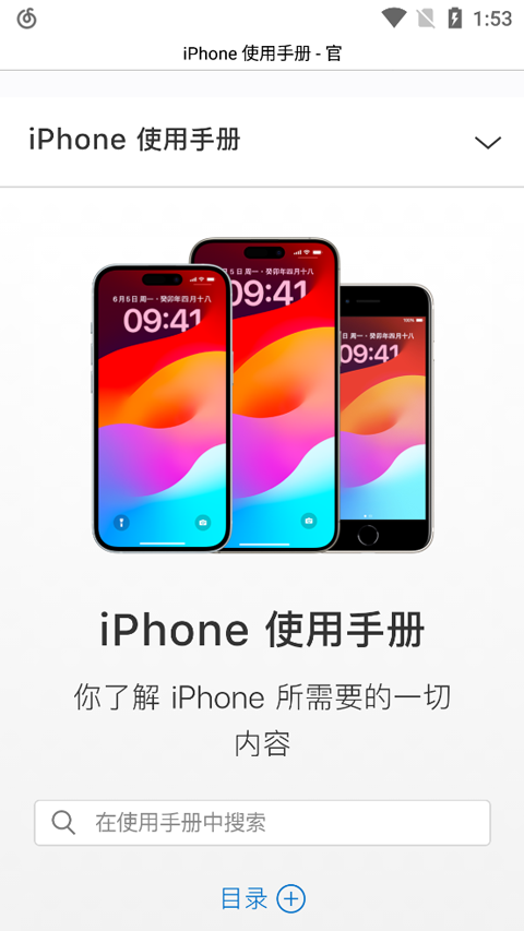 图1