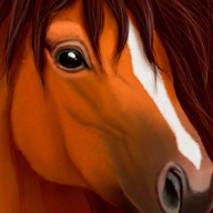 UltimateHorse安卓版