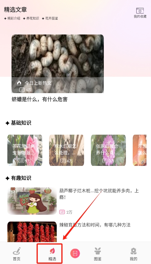 阑舒养花宝最新版
