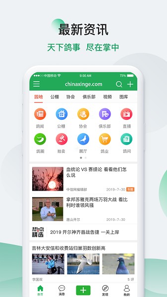 中国信鸽信息网官网版