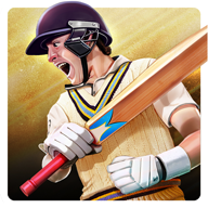 Cricket World Champions安卓版