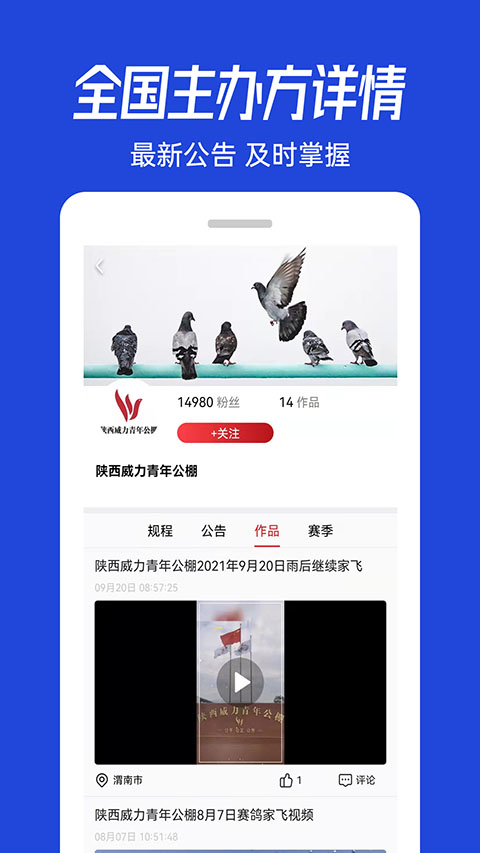 青鸽网app