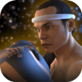 泰拳2：格斗冲突