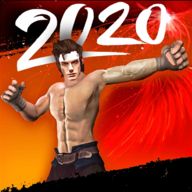 Kungfu Karate Street Fight