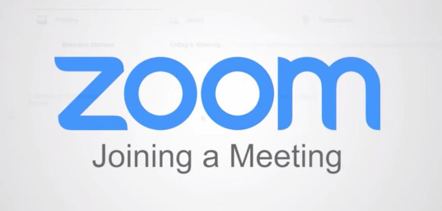 ZOOM版本合集