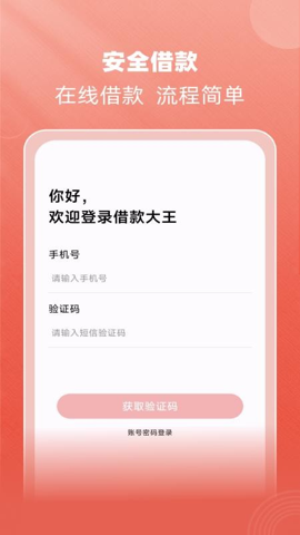 借款大王