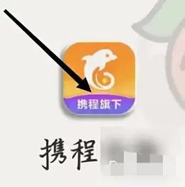 借去花app