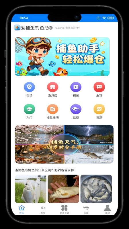 图1