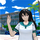 Mexican High School Simulator安装器