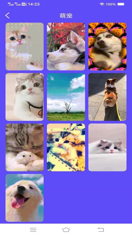 玉兔来电app