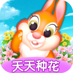 天天种花游戏