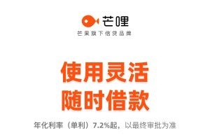 芒哩借款app版本合集
