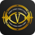 vtoken数字交易所