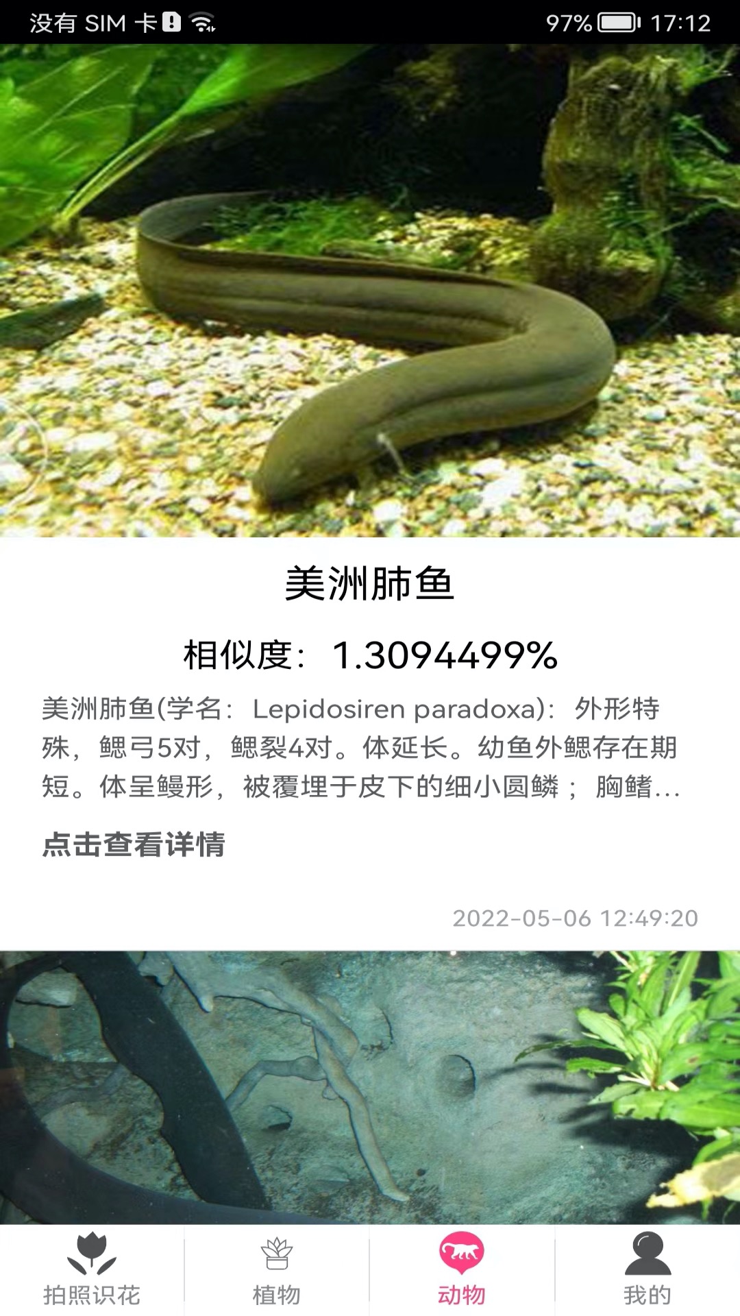 拍照识花神器app