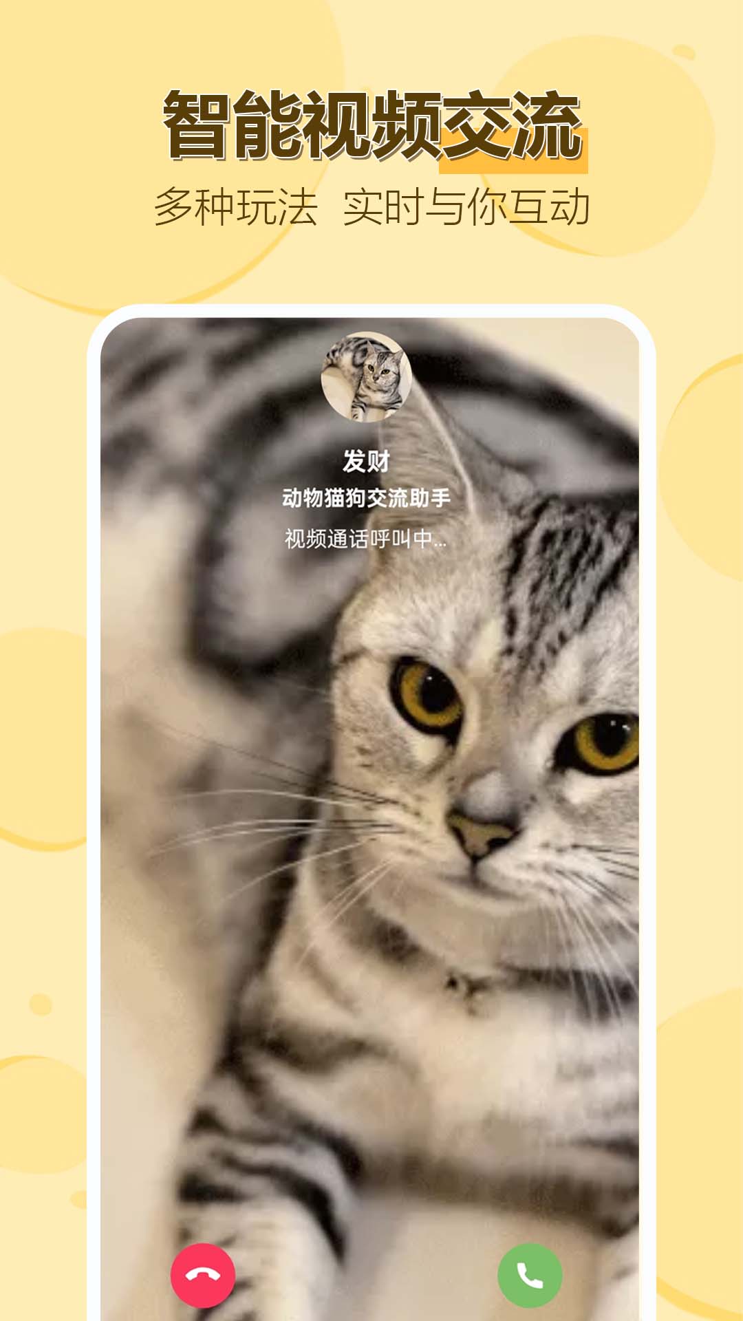 动物猫狗交流助手app