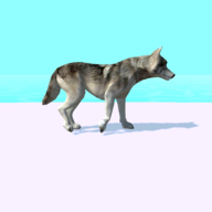 Doggy Run游戏