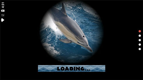 Dolphin Sim