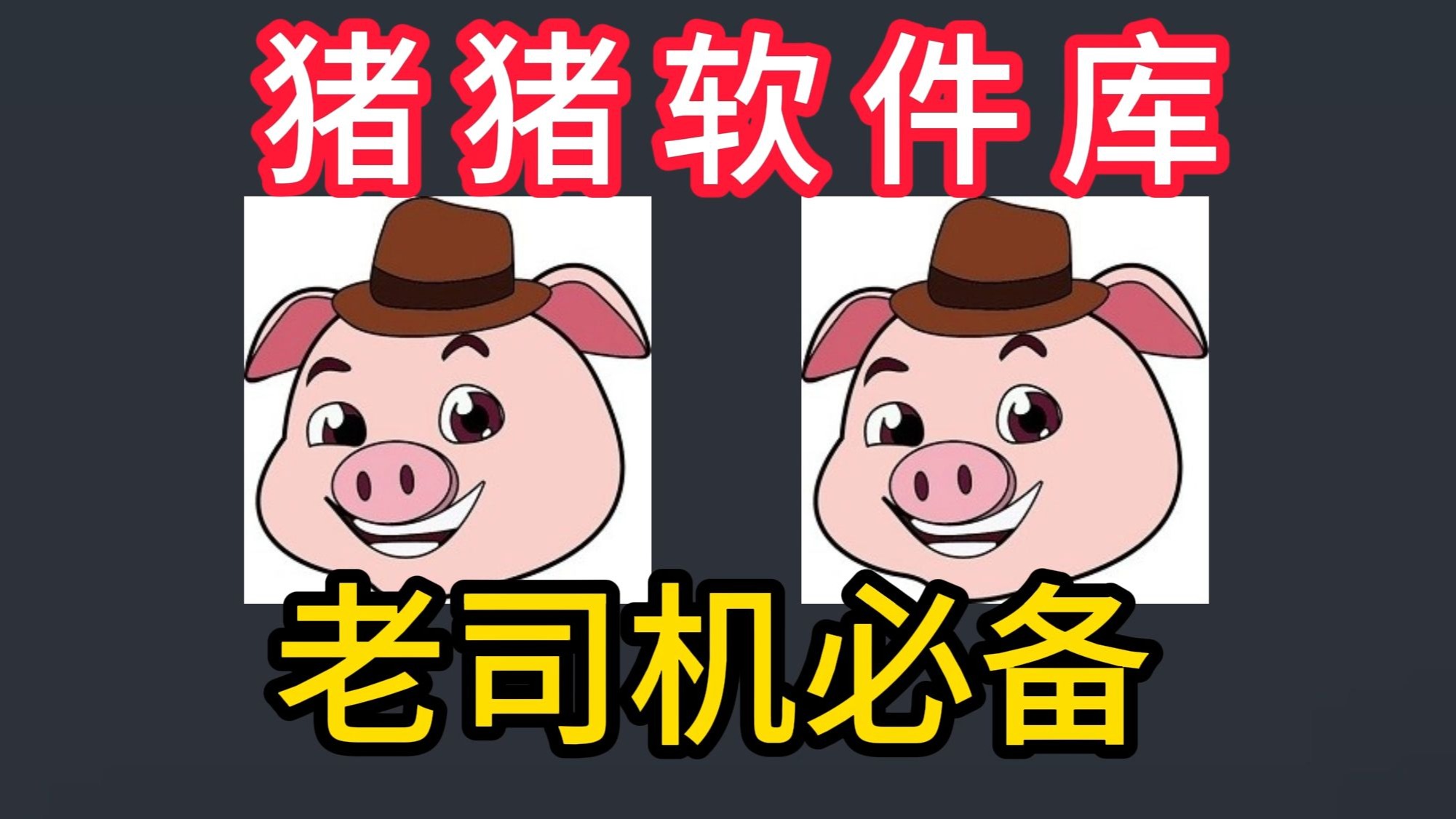 猪猪软件库版本大全