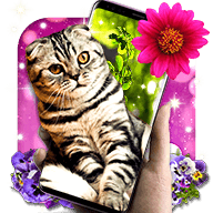 Cute Cats Live Wallpaper软件