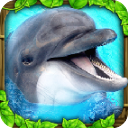 Dolphin Sim