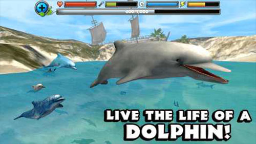 Dolphin Sim